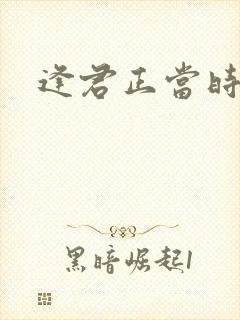 逢君正当时