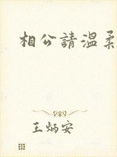 相公请温柔一点封面
