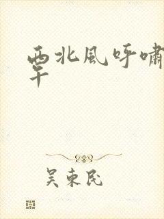 西北风呼啸的中午封面