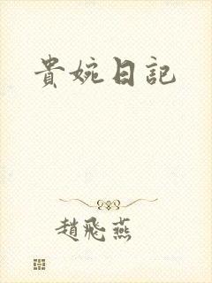 贵婉日记封面
