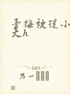 青梅被从小摸到大h封面
