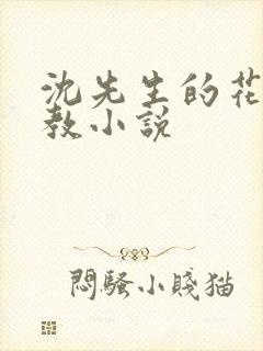 沈先生的花式管教小说