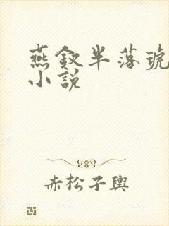 燕钗半落琥珀糖小说