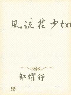 风流花少txt封面