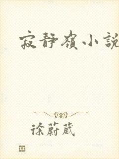 寂静岭小说封面