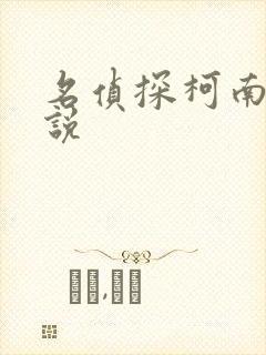 名侦探柯南h小说
