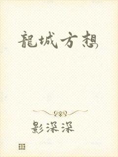 龙城方想封面