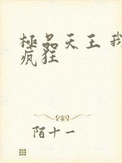 极品天王 我本疯狂封面