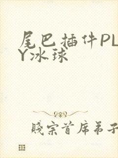 尾巴插件PLAY冰球