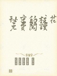秘密的校花小说免费阅读封面