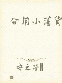 公用小荡货芊芊封面