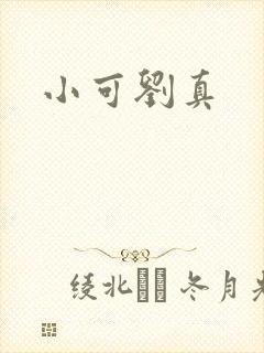 小可刘真封面