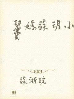 儿媳苏玥小说免费