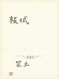 叛城封面