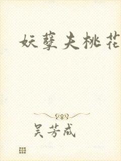 妖孽夫桃花妻