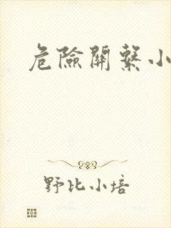 危险关系小说封面