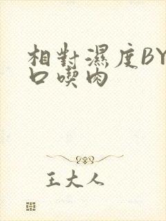 相对湿度BY大口吃肉