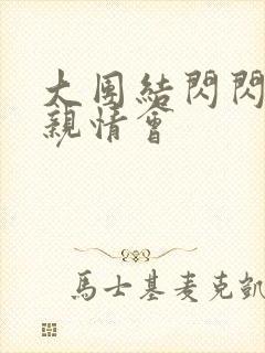 大团结闪闪发光亲情会封面