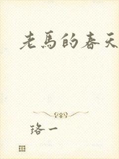 老马的春天敏静封面