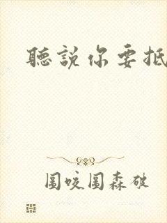 听说你要抵抗我