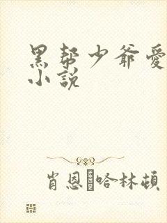 黑帮少爷爱上我小说