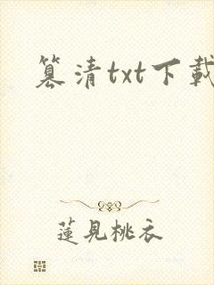 篡清txt下载封面