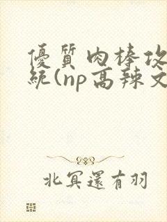 优质肉棒攻略系统(np高辣文)