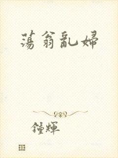 荡翁乱妇封面
