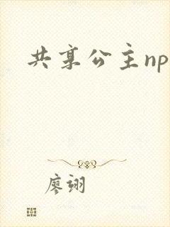 共享公主npc封面