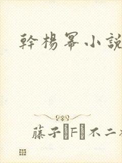 干杨幂小说