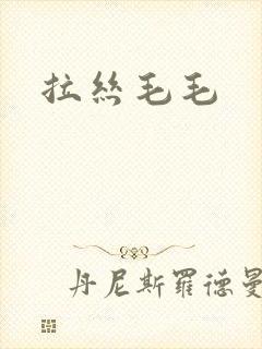 拉丝毛毛