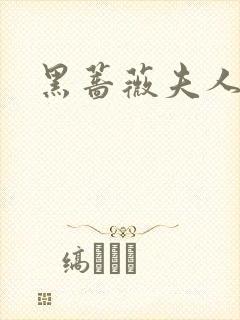 黑蔷薇夫人封面