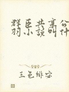 群臣共享公主银羽小说叫什么封面
