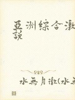 亚洲综合激情小说
