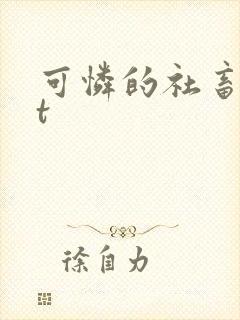 可怜的社畜txt封面