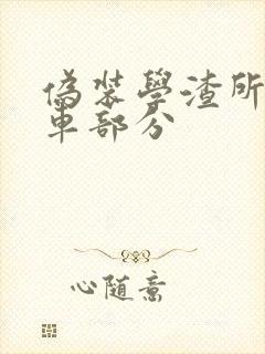 伪装学渣所有开车部分