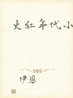 火红年代小说