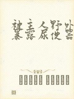 被主人野外调教暴露尿便器封面
