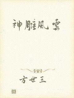 神雕风云