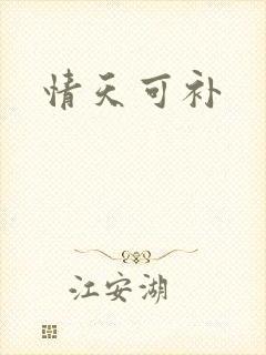 情天可补