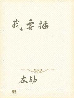 我要插