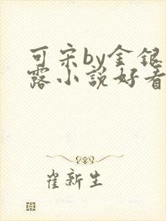 可宋by金银花露小说好看吗