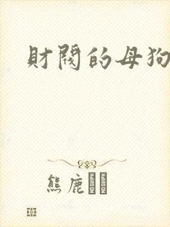 财阀的母狗们