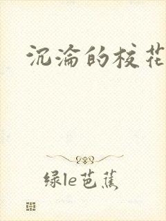 沉沦的校花封面