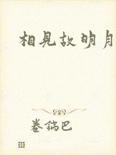 相见故明月