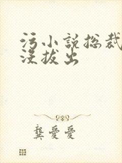 污小说总裁整夜没拔出封面