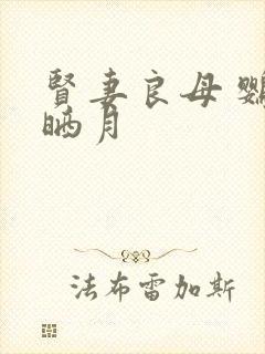 贤妻良母 鹦鹉晒月封面