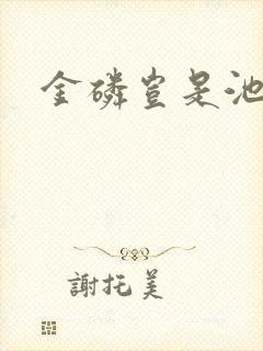 金磷岂是池中物封面