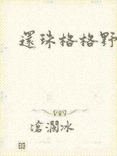 还珠格格野传
