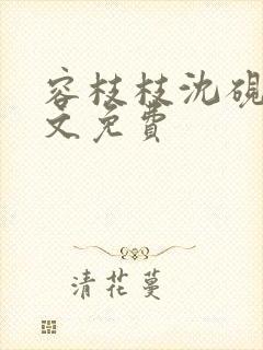 容枝枝沈砚书全文免费